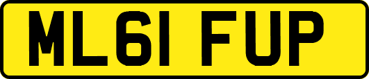 ML61FUP