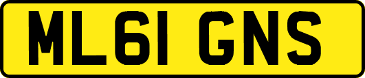 ML61GNS