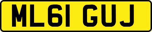 ML61GUJ