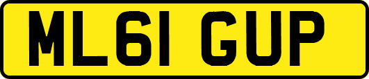ML61GUP