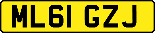 ML61GZJ