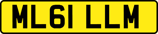 ML61LLM