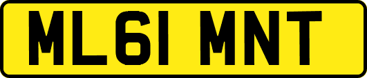 ML61MNT