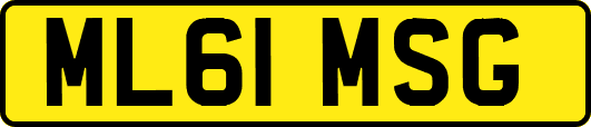 ML61MSG