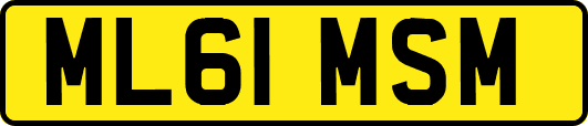 ML61MSM