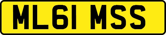 ML61MSS
