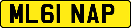ML61NAP