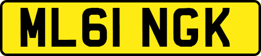 ML61NGK