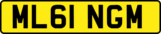 ML61NGM