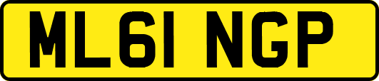 ML61NGP