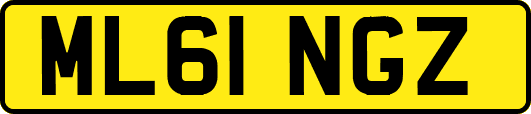 ML61NGZ