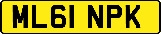 ML61NPK