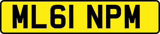 ML61NPM