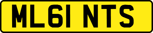 ML61NTS