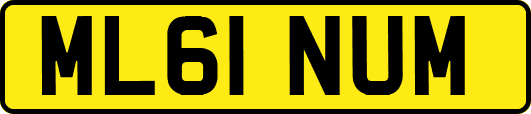 ML61NUM