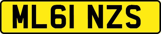 ML61NZS