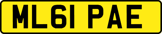 ML61PAE