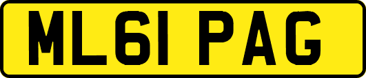 ML61PAG