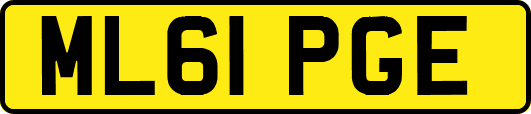 ML61PGE