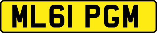 ML61PGM