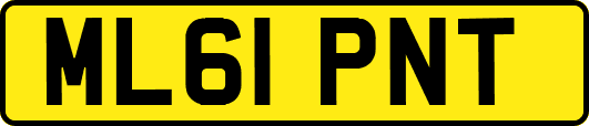 ML61PNT