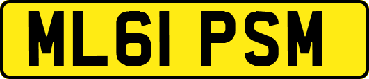 ML61PSM