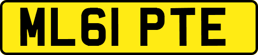 ML61PTE