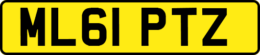 ML61PTZ