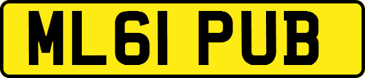 ML61PUB