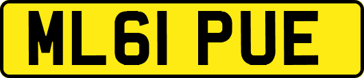 ML61PUE