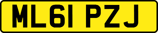 ML61PZJ