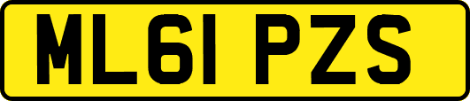ML61PZS