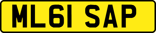 ML61SAP