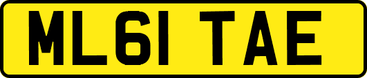 ML61TAE