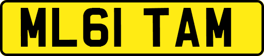 ML61TAM