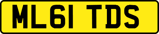 ML61TDS