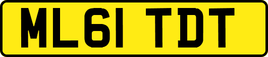 ML61TDT
