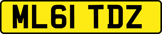 ML61TDZ