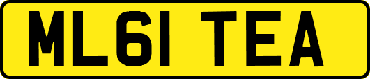 ML61TEA
