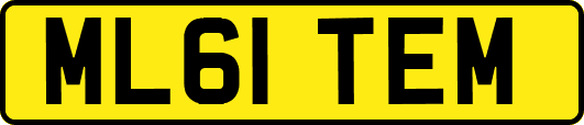 ML61TEM