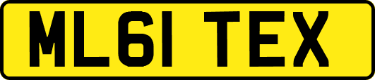 ML61TEX