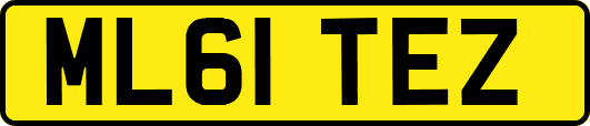 ML61TEZ