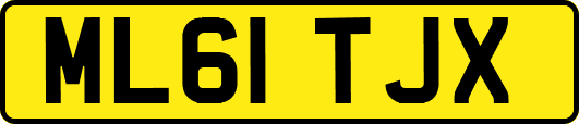 ML61TJX