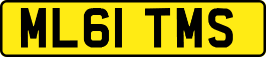 ML61TMS