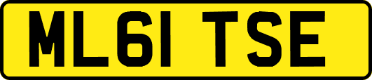 ML61TSE