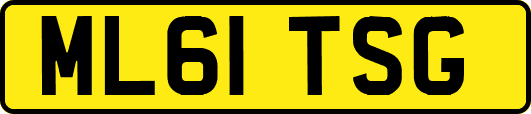ML61TSG