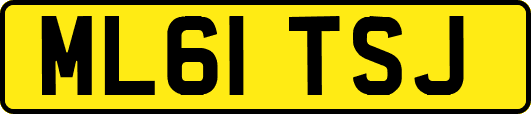 ML61TSJ