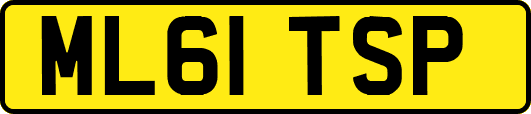 ML61TSP