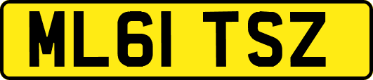 ML61TSZ