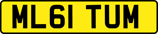 ML61TUM